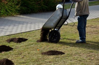 Improve Soil Fertility by Adding Organic Matter and Nutrients!
